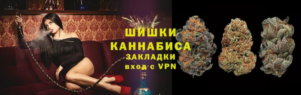 хмурый Бронницы