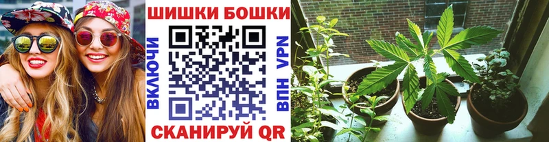 Бошки марихуана MAZAR где найти наркотики kraken как войти Буинск